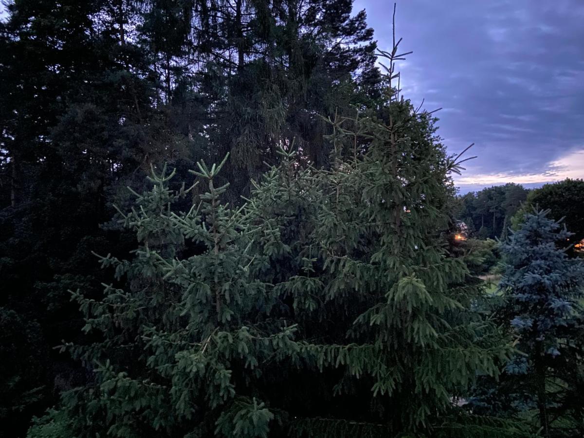 Aparthotel Waldwerk Wurlgrund Lychen Zewnętrze zdjęcie